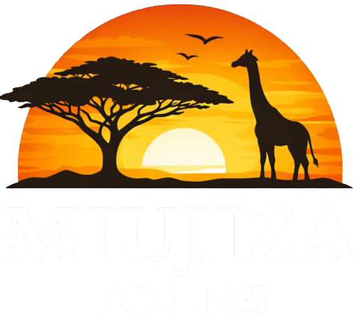 Miujiza Tours - Tanzania Safari
